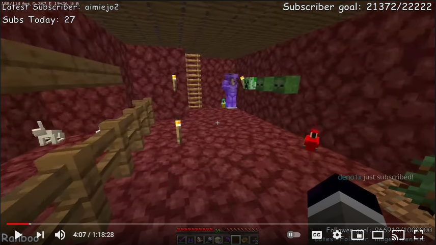 This is a screenshot from Ranboo's stream. He is standing in his underground bunker, his Comfort Room. It's pretty cramped, but there is enough space for Ranboo to move about and also bring his pets down. The walls are made out of maroon netherrack. The cieling is made out of spruce planks. To his right is a square of dirt with a spruce sapling growing from it. Farther along the wall is a red parrot, a few different mob head hung on the wall (two zombies and a creeper), and an armor stand with a full set of enchanted netherite armor. A blue parrot sits at the armor stand's feet. There is a ladder that leads up to the surface. To his left is a small pen spanning the length of the room made out of spruce fencing containing two desert rabbits.